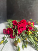 Lisianthus-Raspberry (arosa red)