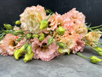 Lisianthus-Mango Elegance - SMFF Wholesale