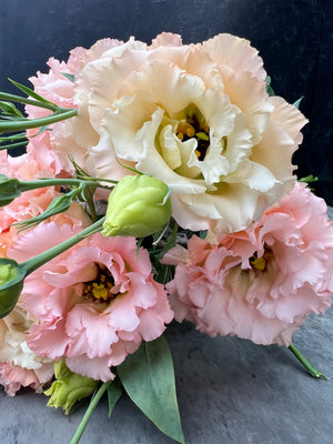 Lisianthus-Mango Elegance - SMFF Wholesale
