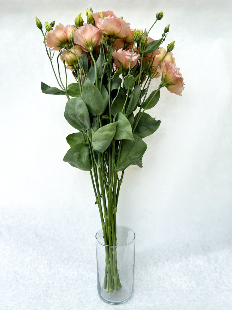 Lisianthus-Mango Elegance - SMFF Wholesale