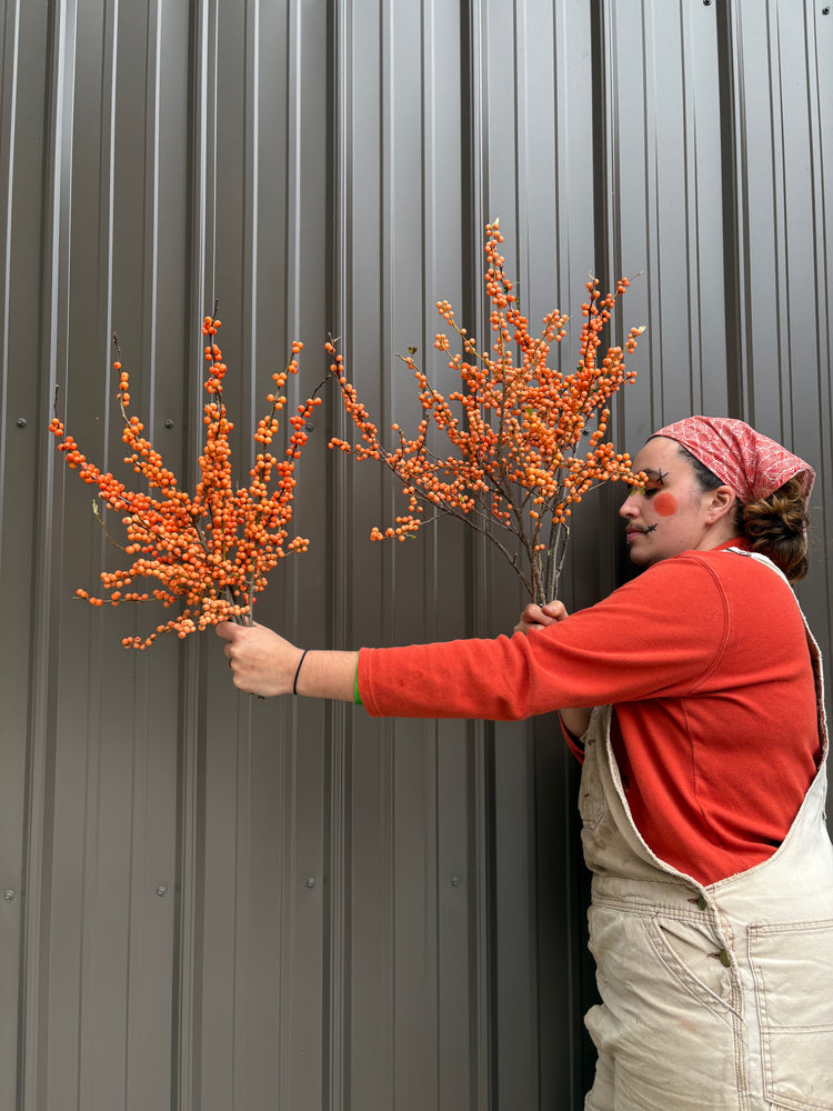 Winterberry-Peach Ilex