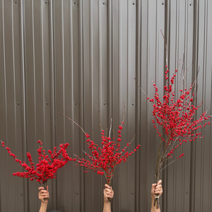 Winterberry-Red Ilex