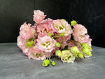 Lisianthus-Aurora light pink