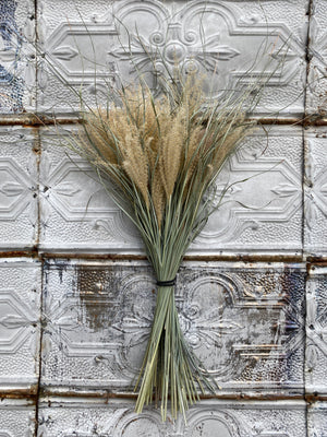 Dried Grasses-Miscanthus Plume