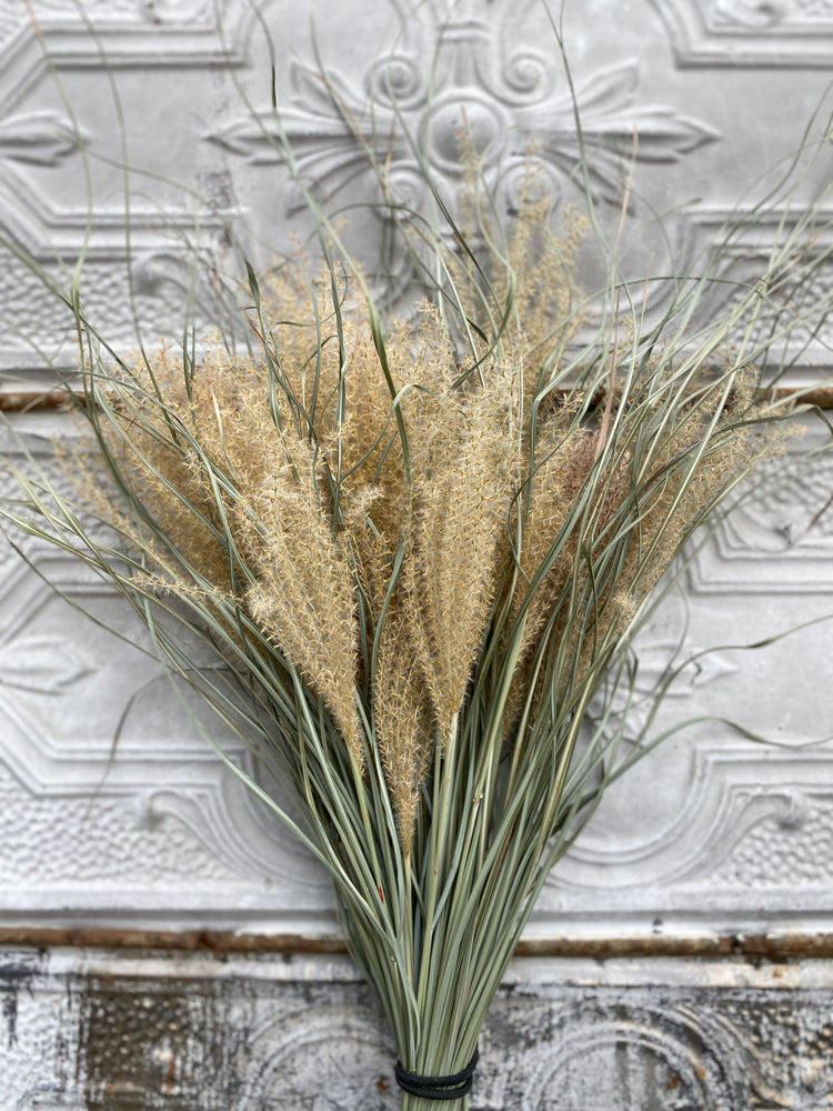 Dried Grasses-Miscanthus Plume