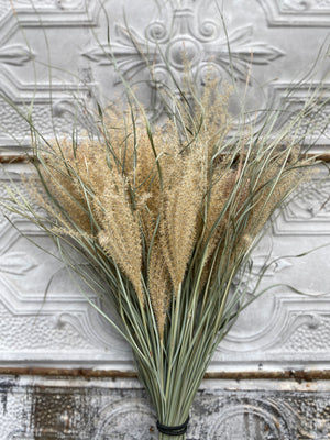 Dried Grasses-Miscanthus Plume