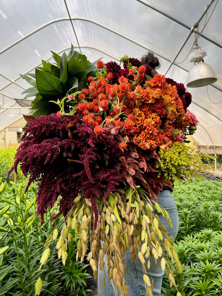 Bulk Bucket-Autumnal Tones - SMFF Wholesale