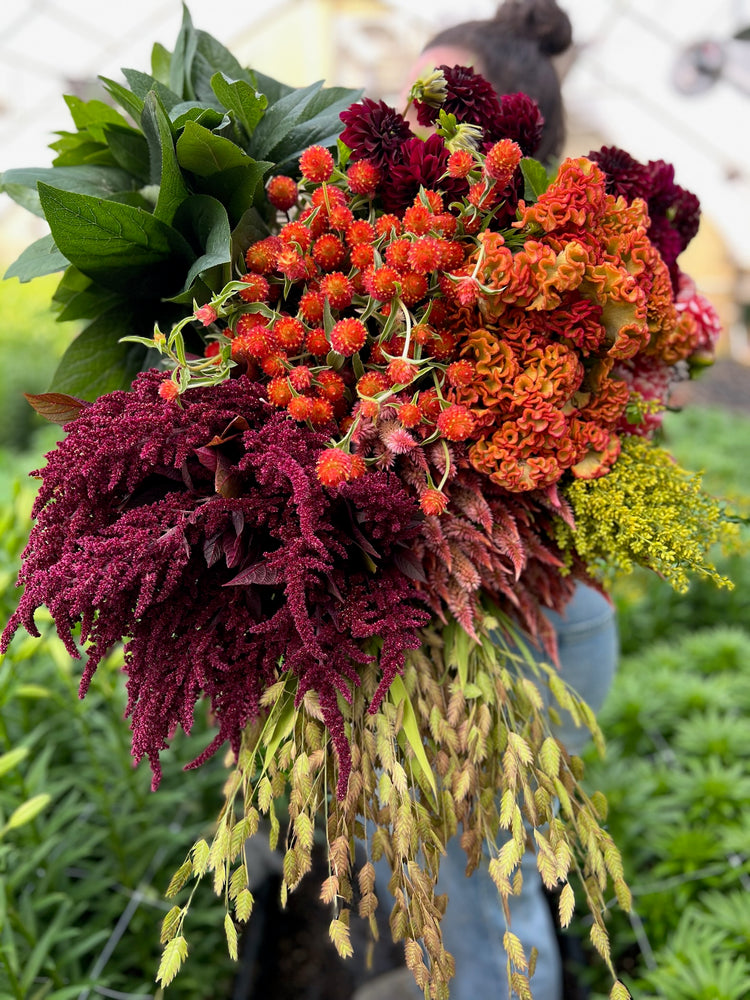Bulk Bucket-Autumnal Tones - SMFF Wholesale