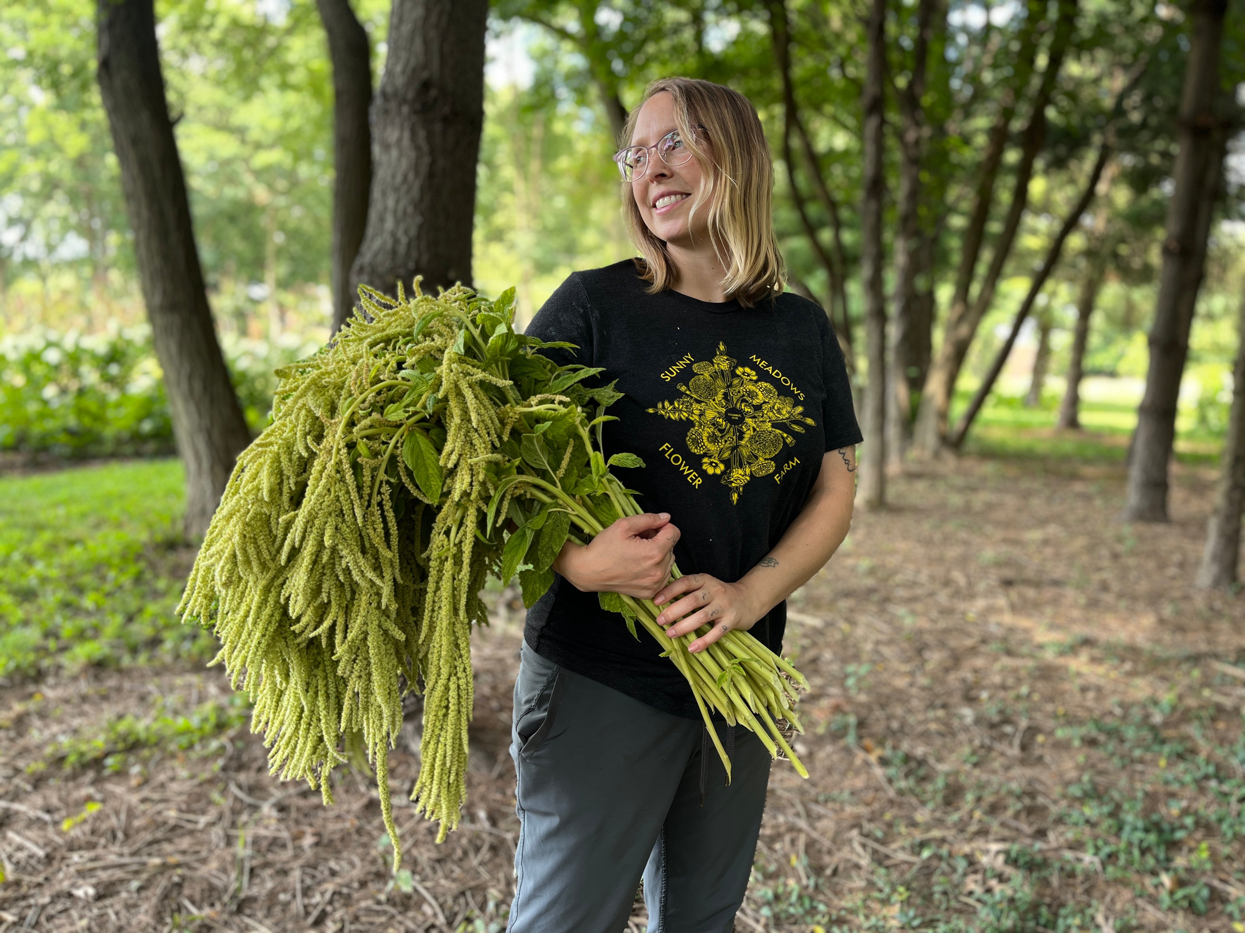 Amaranth-Green Hanging