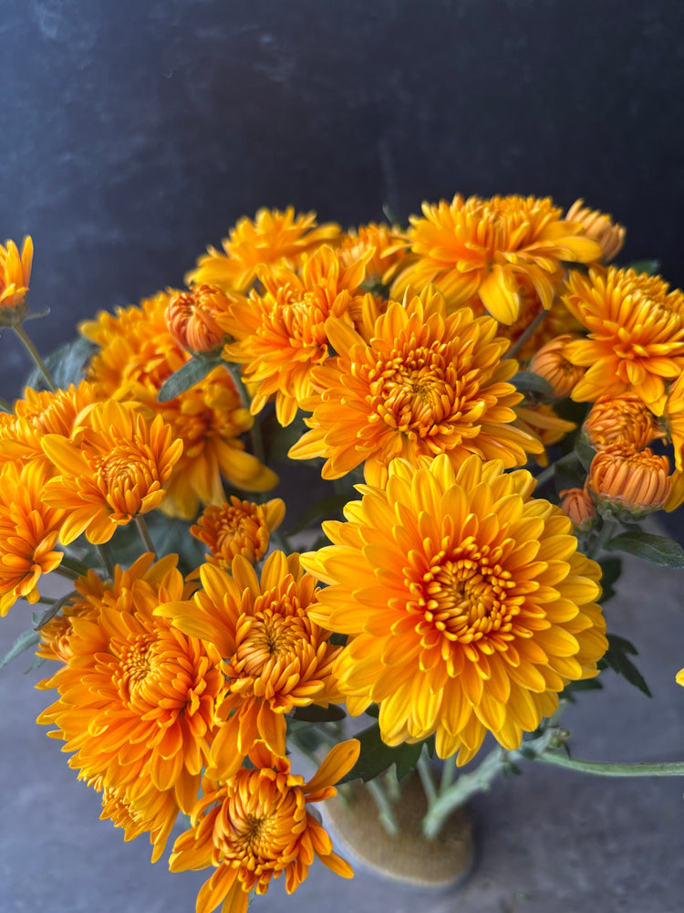 Heirloom Mum Spray-Miss Goldie