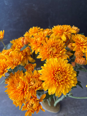 Heirloom Mum Spray-Miss Goldie