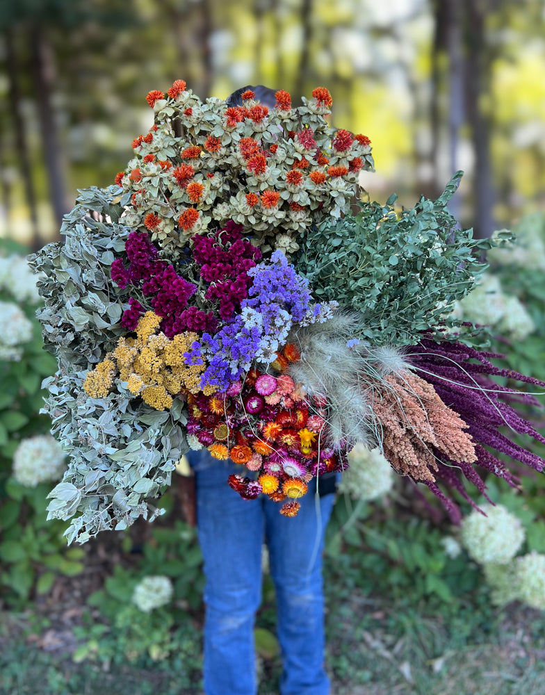 Dried Flowers-Bright & Cheery Box Lot