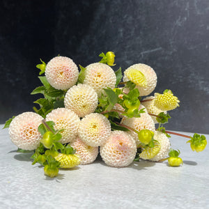Dahlia Button-Small World