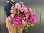 Dahlias by the Color