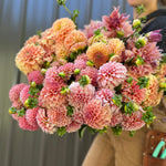 Dahlias by the Color
