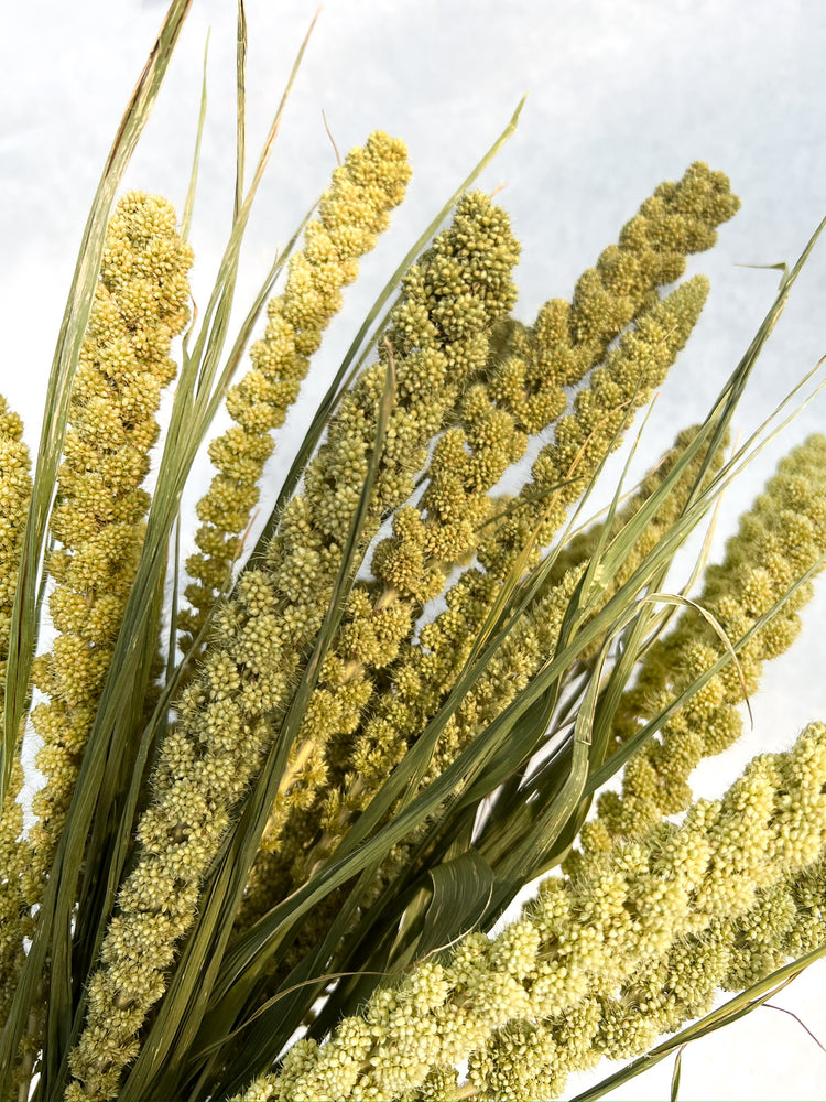 Dried Grains- Limelight Millet - SMFF Wholesale