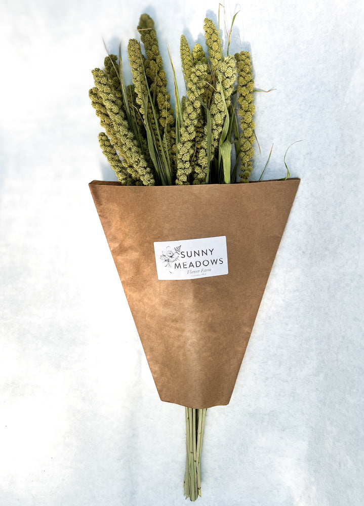 Dried Grains- Limelight Millet - SMFF Wholesale