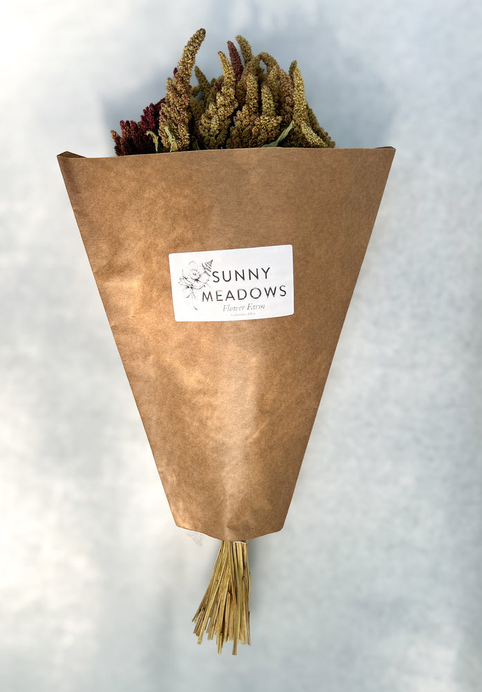Dried Flowers-Amaranth Pistachio