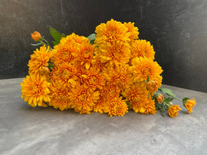 Heirloom Mum Spray-Miss Goldie