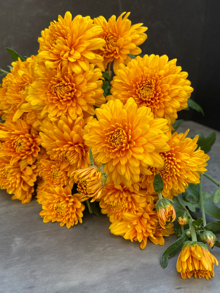 Heirloom Mum Spray-Miss Goldie