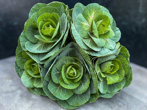 Flowering Cabbage-Green
