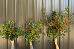 Winterberry-Orange Ilex with Leaves On