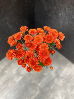 Heirloom Mum Spray-Kelvin Mandarin