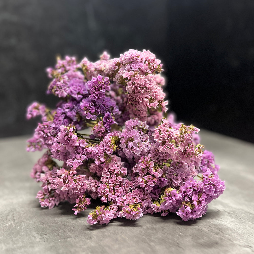 Dried Flowers-Statice Lavender