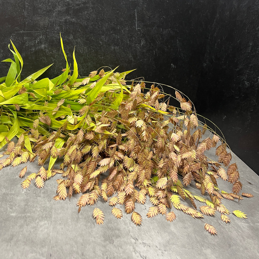 Grains-Fall Sea Oats