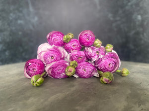 Ranunculus-Lavender