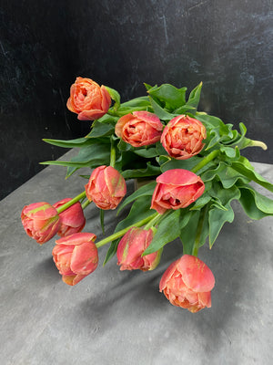 Tulip-Copper Image