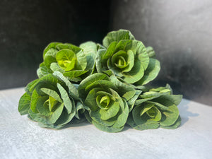 
            
                Load image into Gallery viewer, Flowering Cabbage-Green
            
        