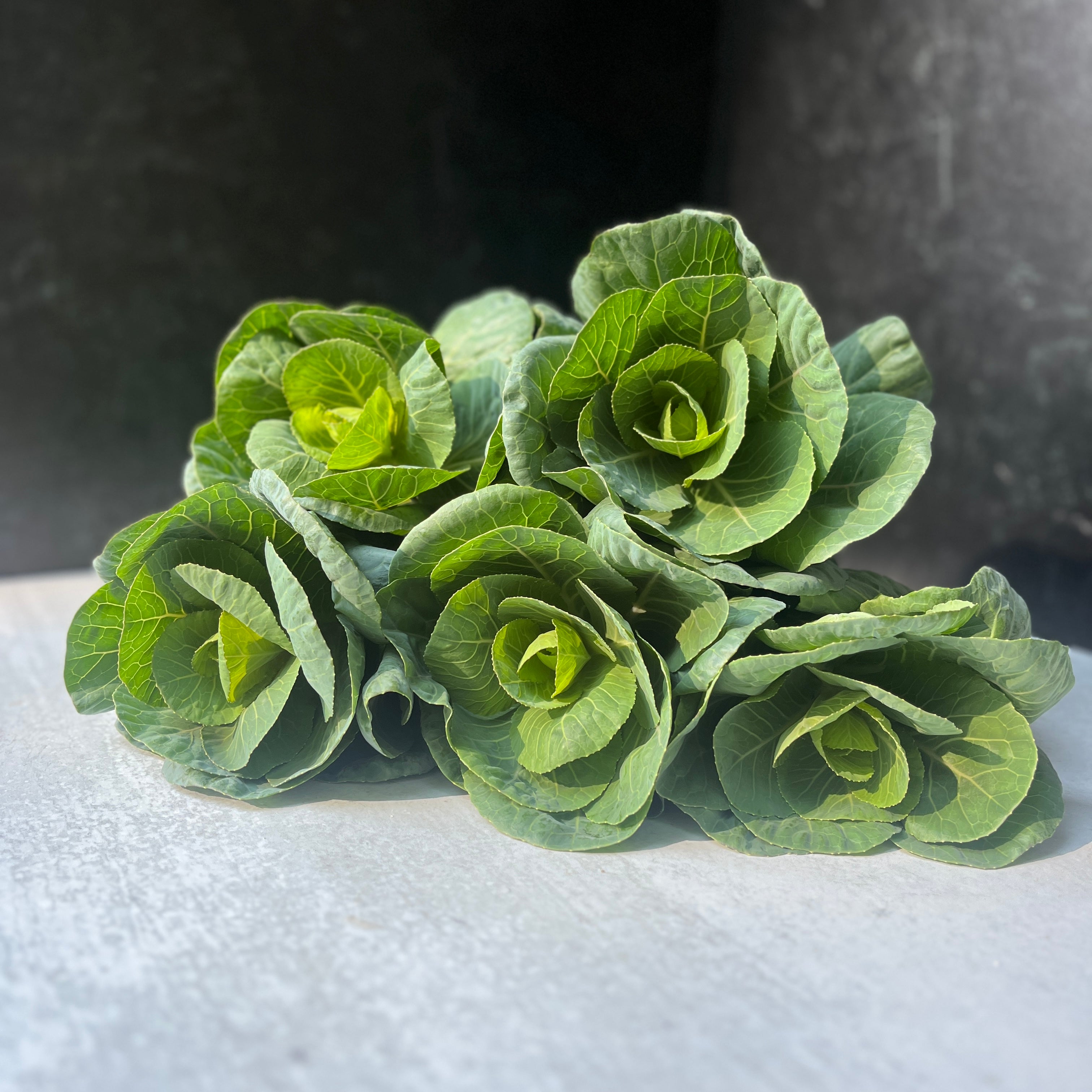 Flowering Cabbage-Green