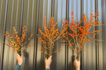 Winterberry-Orange Ilex