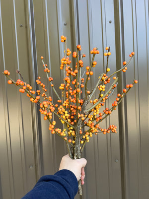Winterberry-Orange Ilex