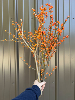 Winterberry-Orange Ilex