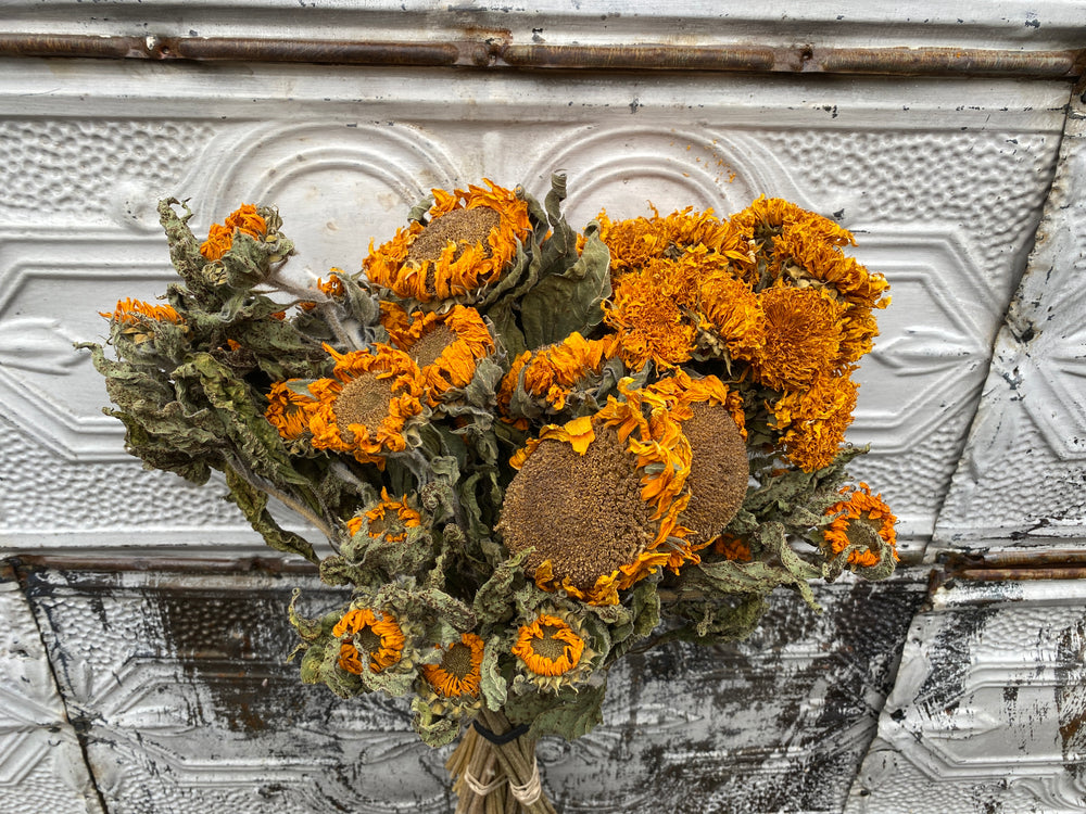 Dried Flowers-Sunflowers Assorted