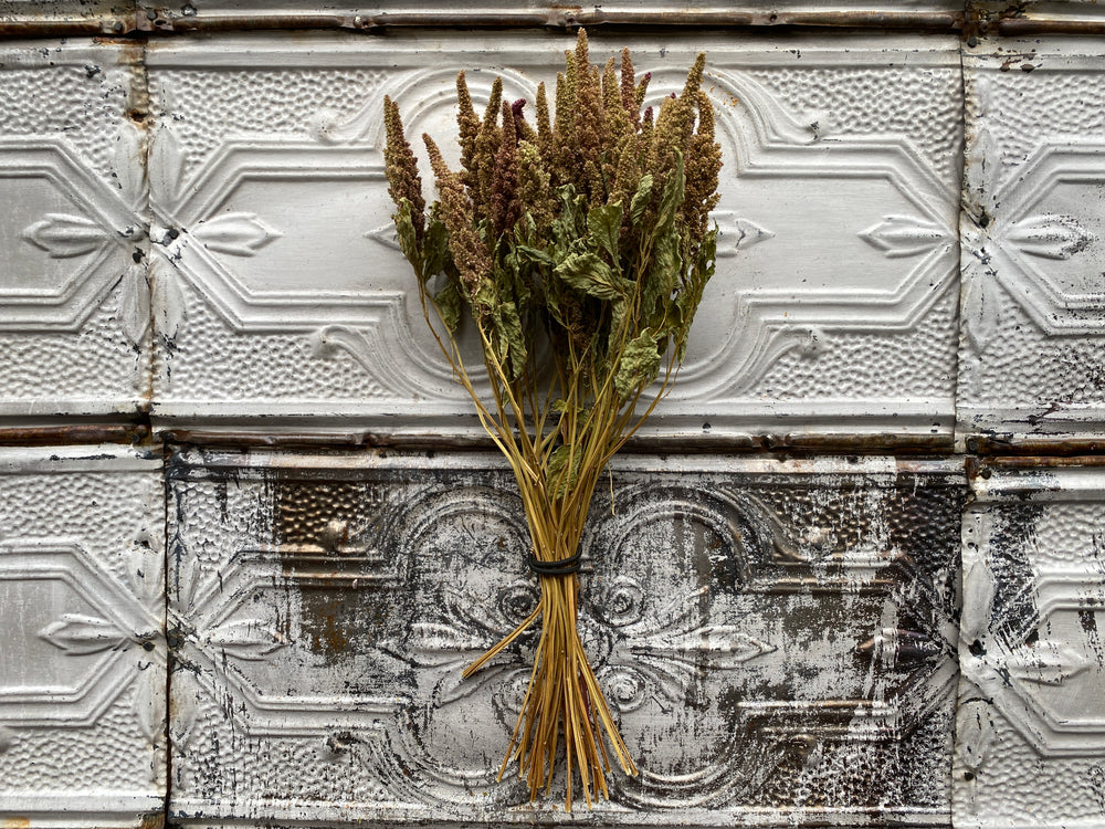 Dried Flowers-Amaranth Pistachio