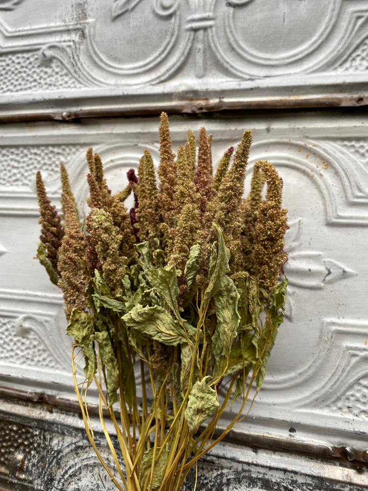 Dried Flowers-Amaranth Pistachio