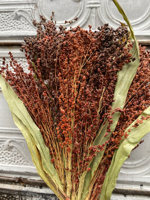 Dried Grains-Broomcorn Red