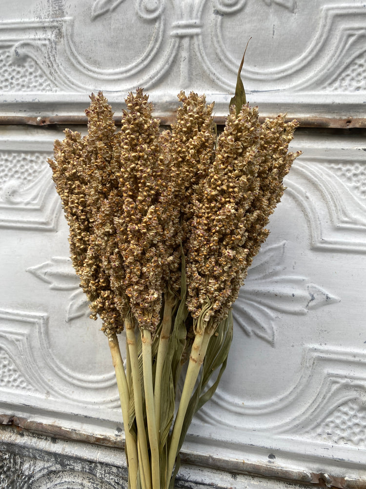 Dried Grains-Sorghum White