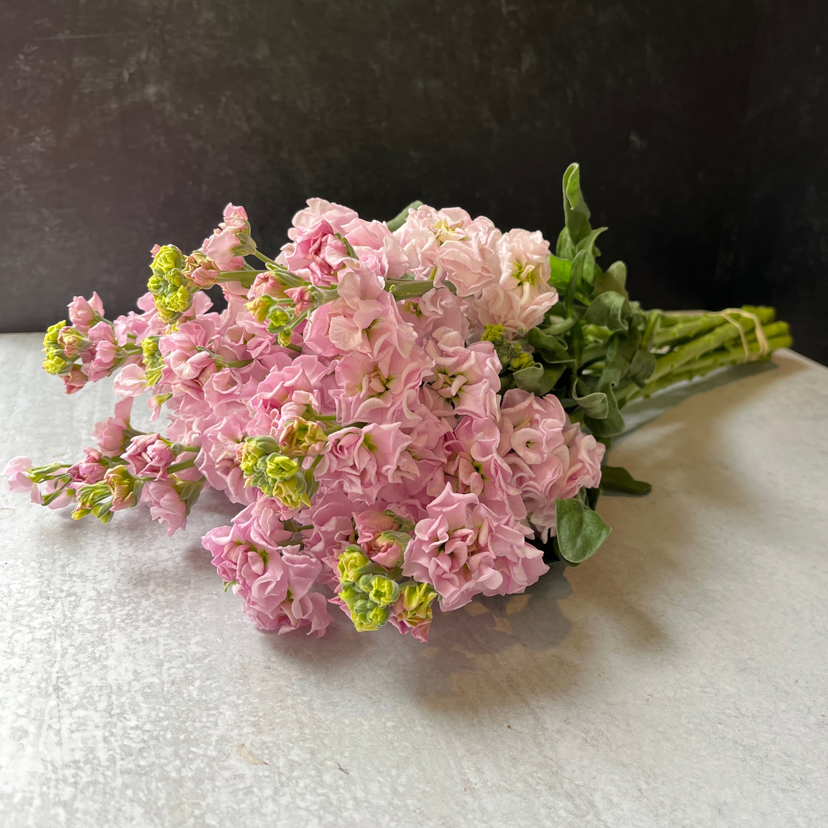 Stock Iron-Light Pink