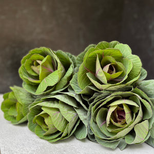 Flowering Cabbage-Lavender