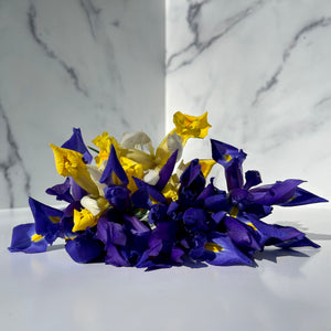 Iris - Purple