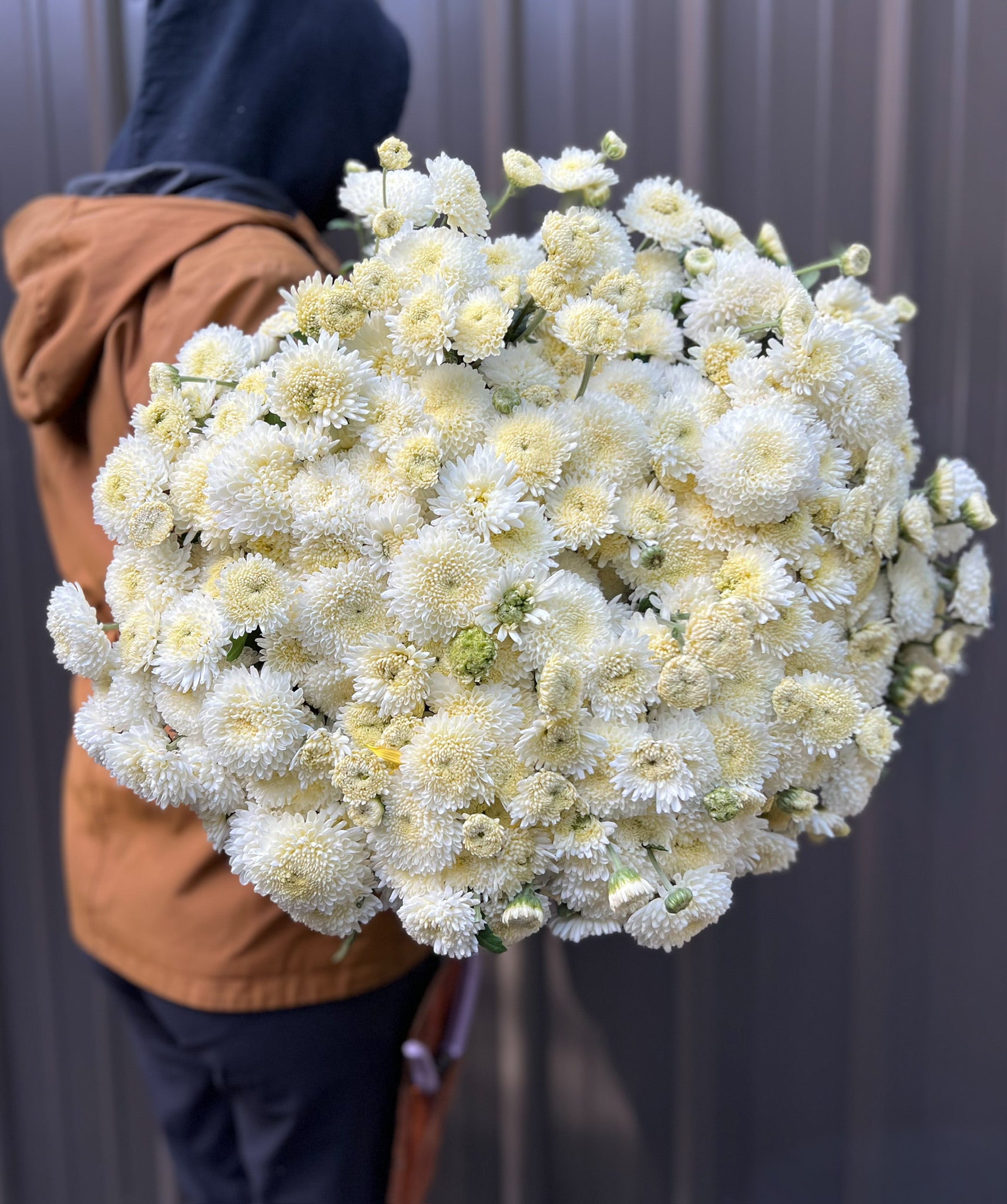 Heirloom Mum Spray-Moonbeam