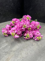 Stock-Pink - SMFF Wholesale