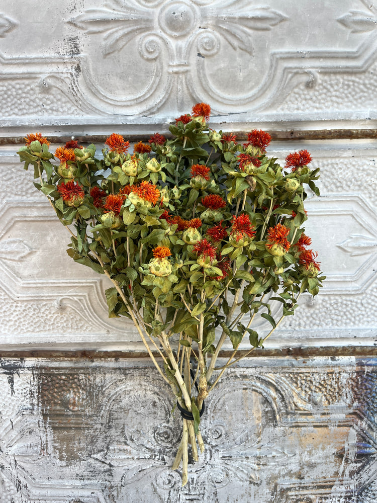 Dried Flowers-Safflower