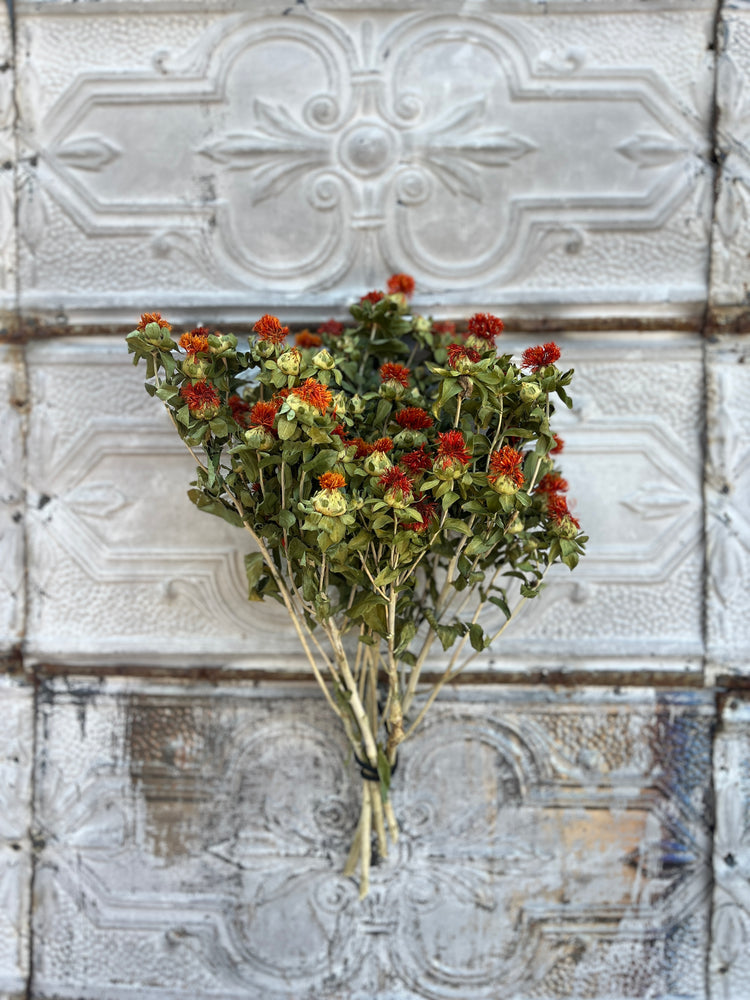 Dried Flowers-Safflower