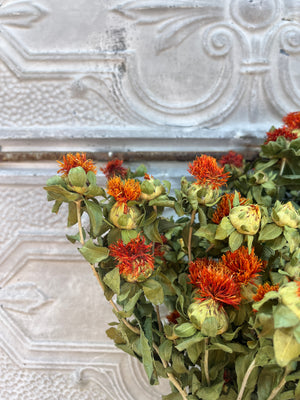 Dried Flowers-Safflower