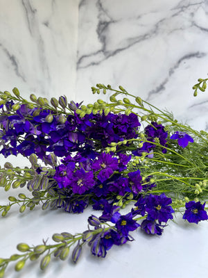 
            
                Load image into Gallery viewer, Larkspur-Purple
            
        